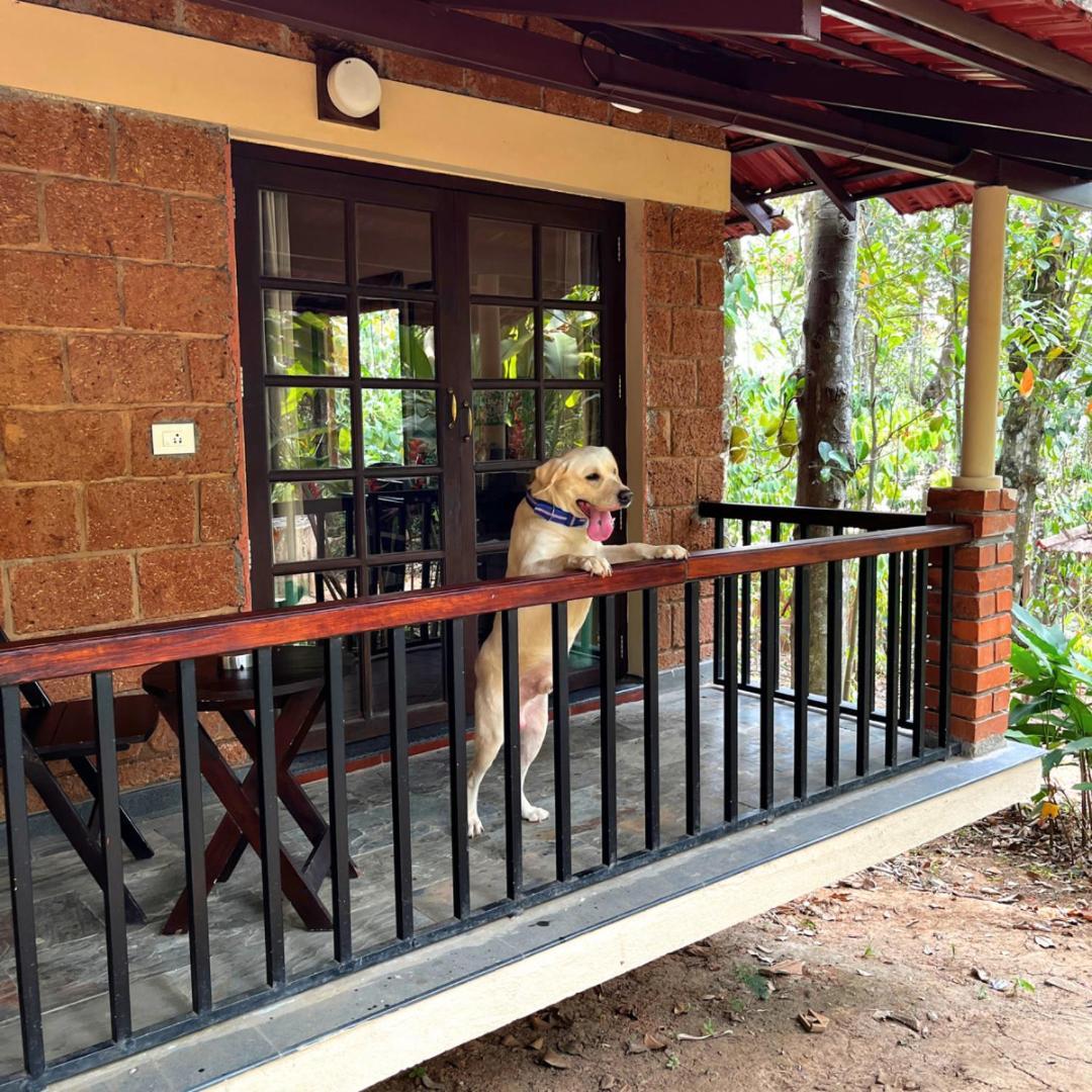 Raindrops Resorts Wayanad Sultan Bathery Exterior photo